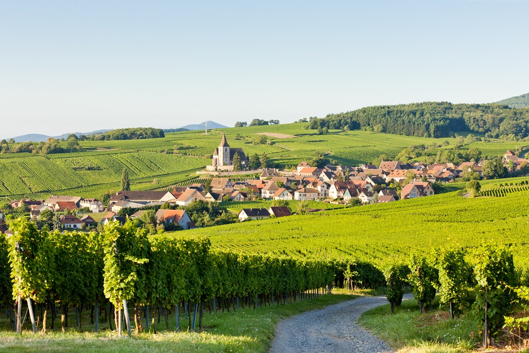 Bourgogne et route des vins